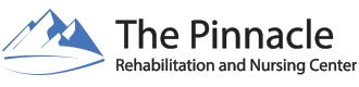 ThePinnacle logo
